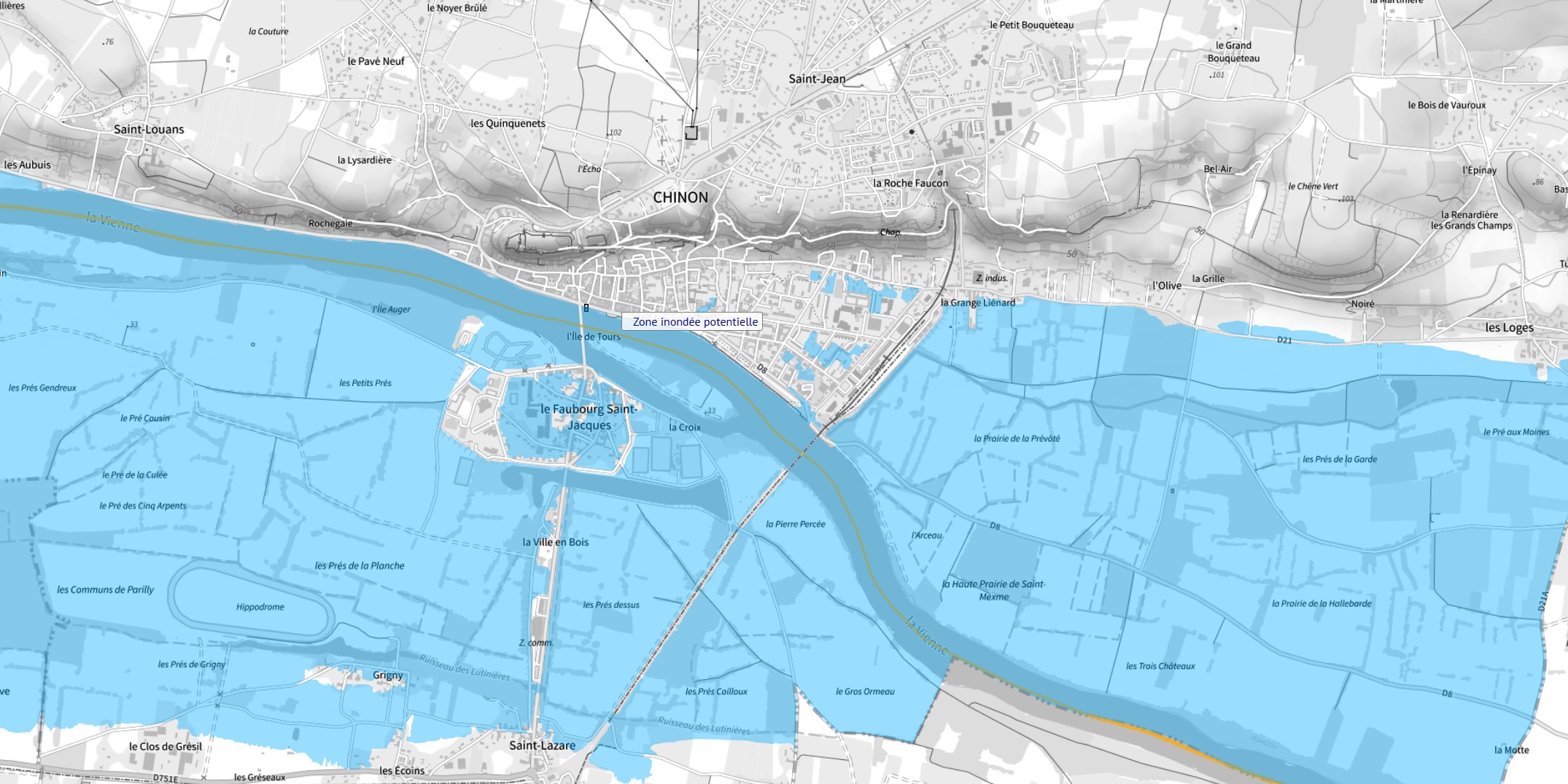 Zone inondable de Chinon